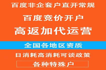 百度竞价推广公司经典案例解析：广告投放策略的智慧